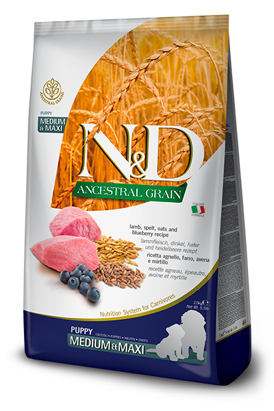 N&D AG Lamb & Blueberry Puppy medium & max 12kg